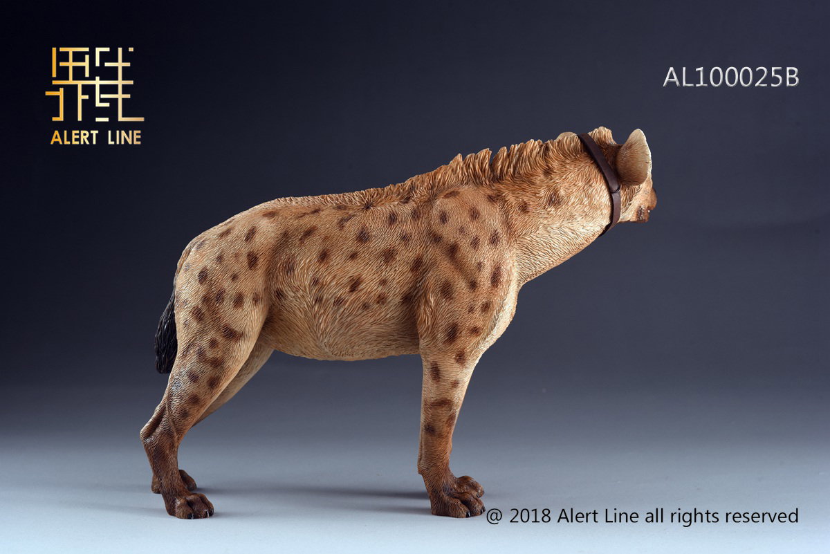 Light Brown Crocuta Crocuta Spotted Hyena image 5