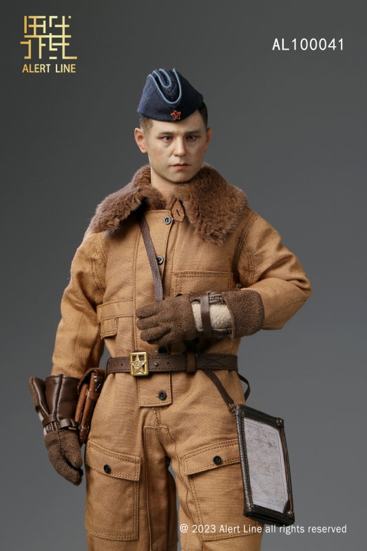WWII Soviet Air Force Ace Pilot image 10