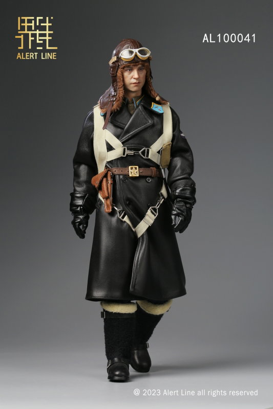WWII Soviet Air Force Ace Pilot image 5
