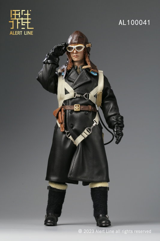WWII Soviet Air Force Ace Pilot image 6