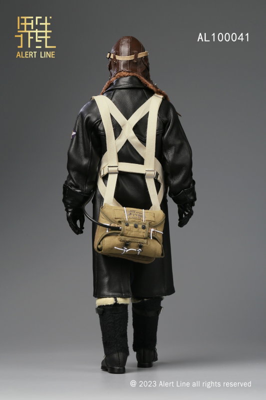 WWII Soviet Air Force Ace Pilot image 7