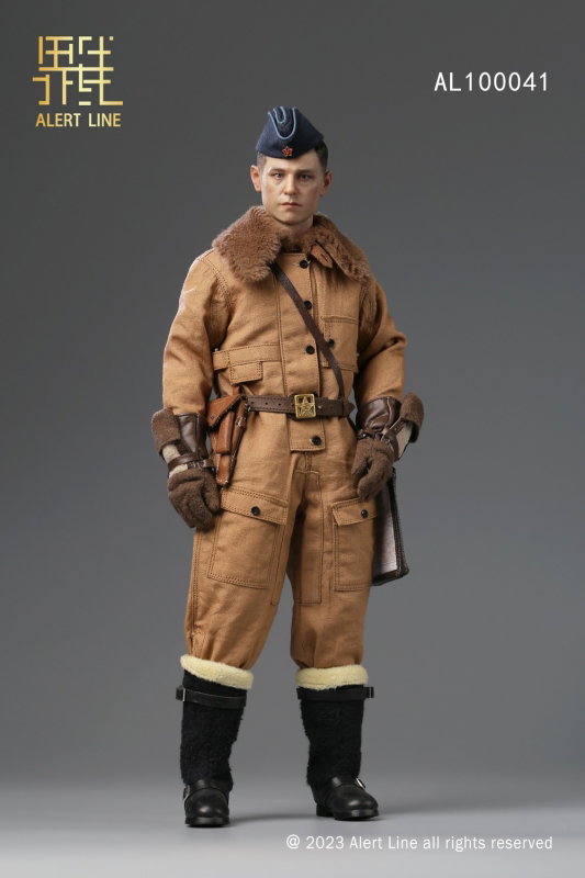 WWII Soviet Air Force Ace Pilot image 8