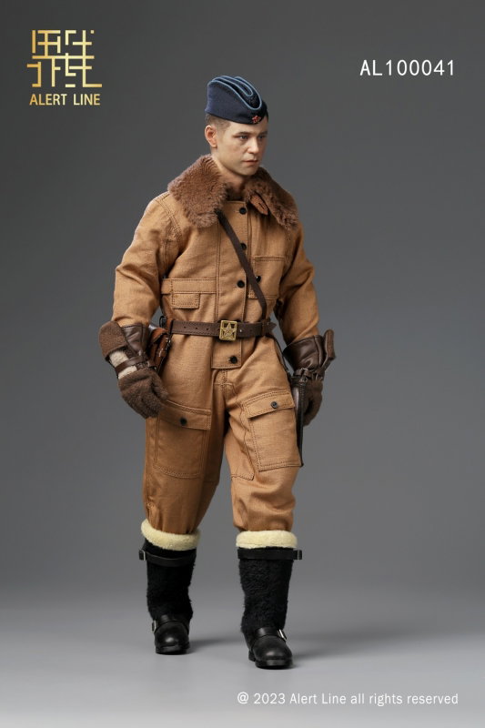 WWII Soviet Air Force Ace Pilot image 9