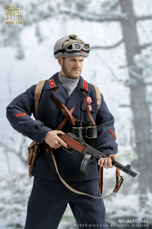 WWII Soviet Mountain Infantry Officer image 10