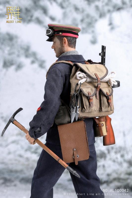 WWII Soviet Mountain Infantry Officer image 8