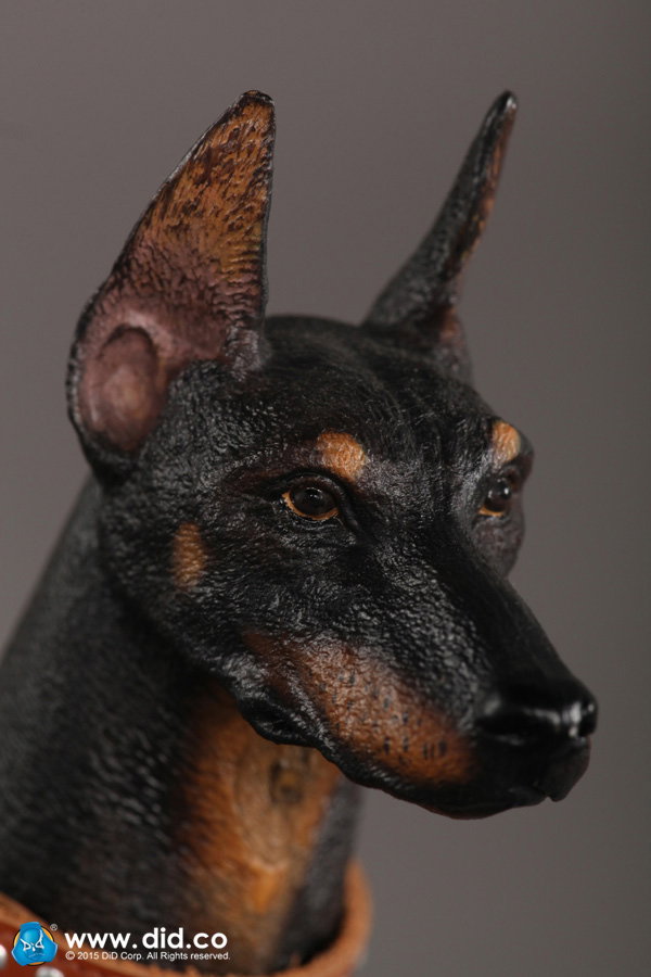 Doberman Pinscher (Version A and B) image 2