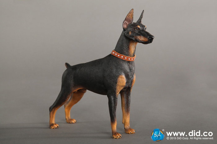Doberman Pinscher (Version A and B) image 4