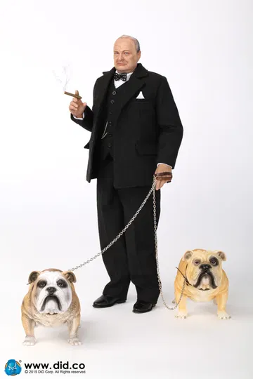 British Bulldog (Version A - D)