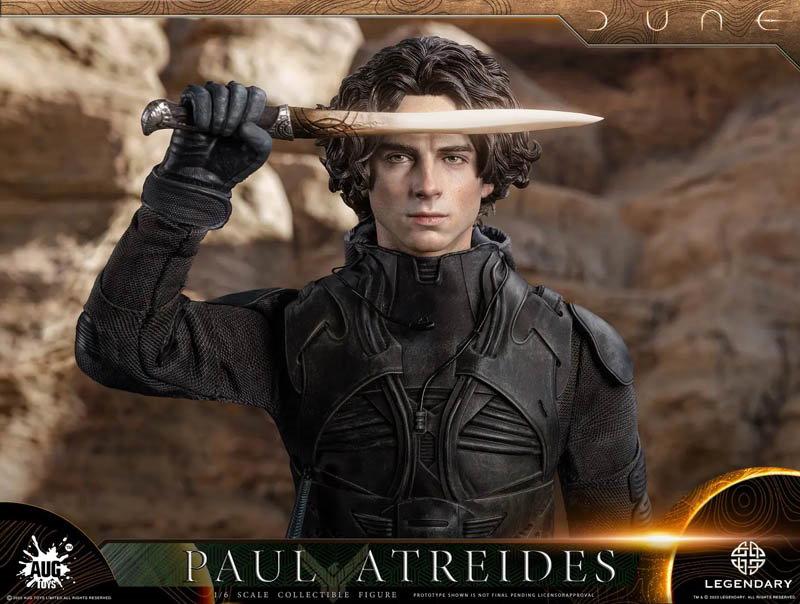 Paul Atreides image 7