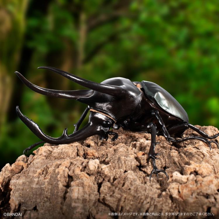 The Diversity of Life on Earth Advanced Caucasus Beetle & Moellenkampi Beetle Exclusive Set image 10