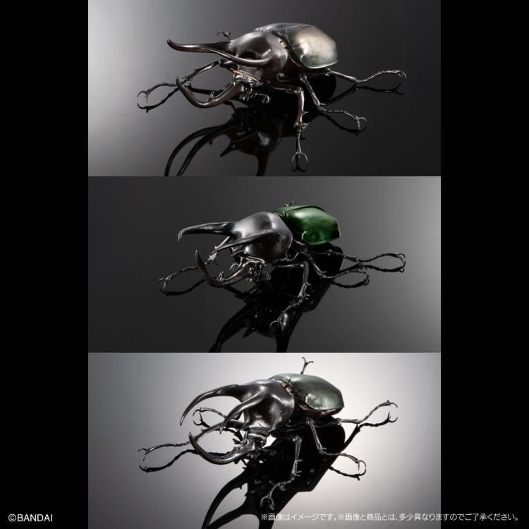 The Diversity of Life on Earth Advanced Caucasus Beetle & Moellenkampi Beetle Exclusive Set image 3