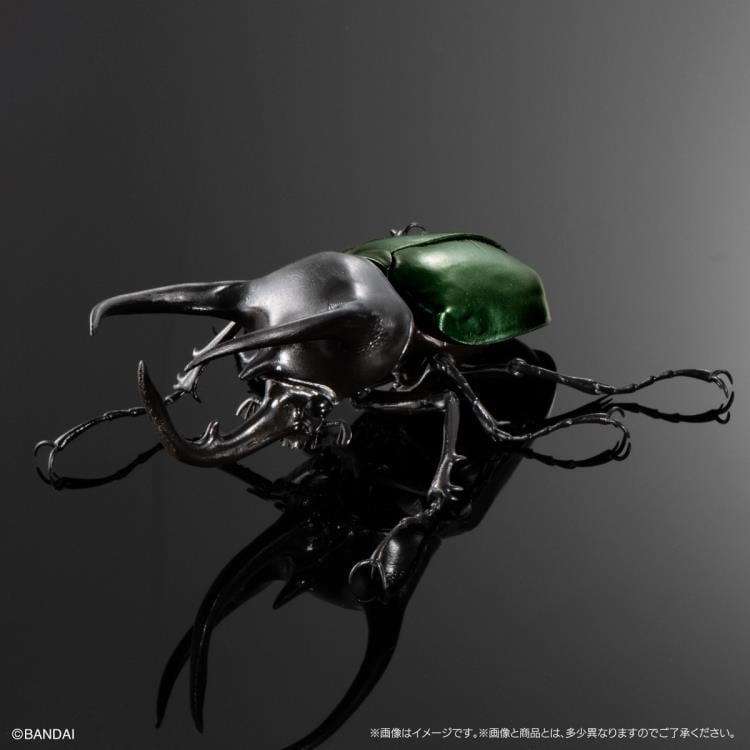 The Diversity of Life on Earth Advanced Caucasus Beetle & Moellenkampi Beetle Exclusive Set image 5
