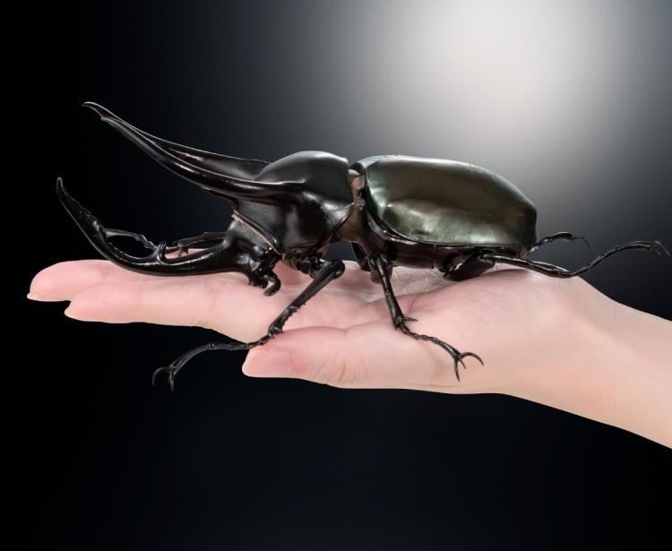The Diversity of Life on Earth Advanced Caucasus Beetle & Moellenkampi Beetle Exclusive Set image 7