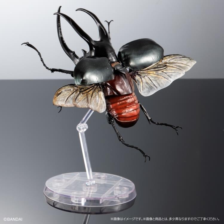 The Diversity of Life on Earth Advanced Caucasus Beetle & Moellenkampi Beetle Exclusive Set image 9
