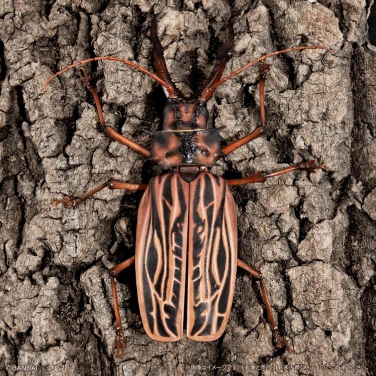 The Diversity of Life on Earth Advance Sabertooth Longhorn Beetle & Tiger Beetle Exclusive Set image 10