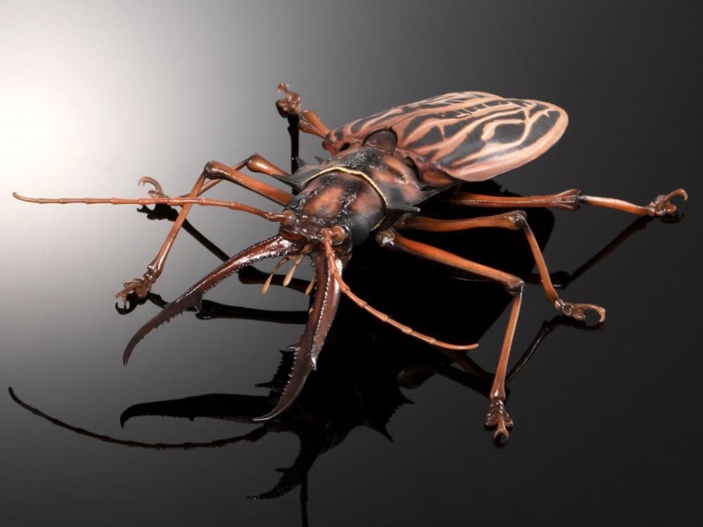 The Diversity of Life on Earth Advance Sabertooth Longhorn Beetle & Tiger Beetle Exclusive Set image 3
