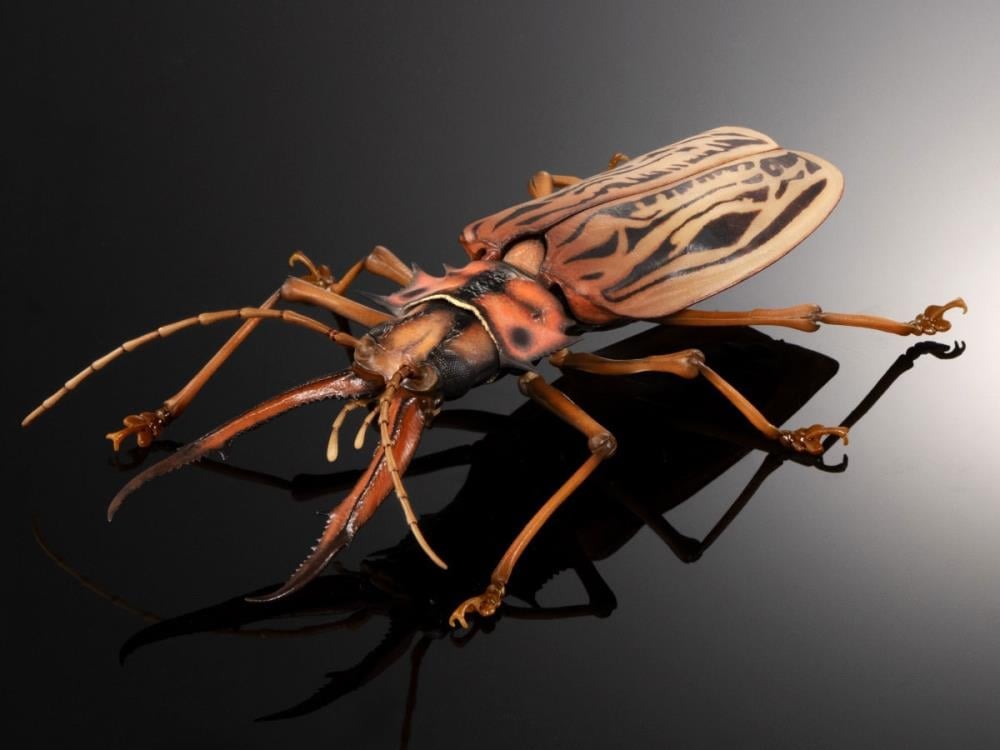 The Diversity of Life on Earth Advance Sabertooth Longhorn Beetle & Tiger Beetle Exclusive Set image 4