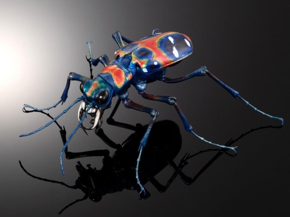 The Diversity of Life on Earth Advance Sabertooth Longhorn Beetle & Tiger Beetle Exclusive Set image 6