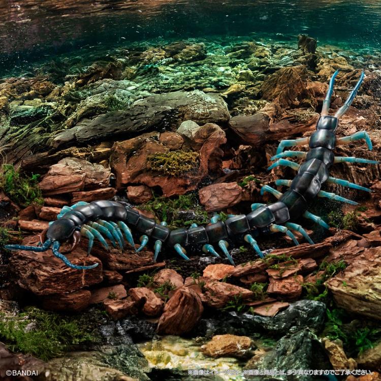 The Diversity of Life on Earth Ultimate Ryujin Giant Centipede image 3