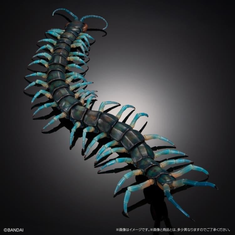 The Diversity of Life on Earth Ultimate Ryujin Giant Centipede image 4