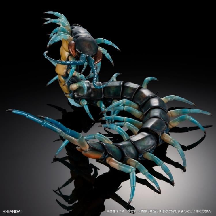 The Diversity of Life on Earth Ultimate Ryujin Giant Centipede image 5