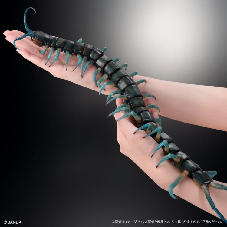 The Diversity of Life on Earth Ultimate Ryujin Giant Centipede image 6