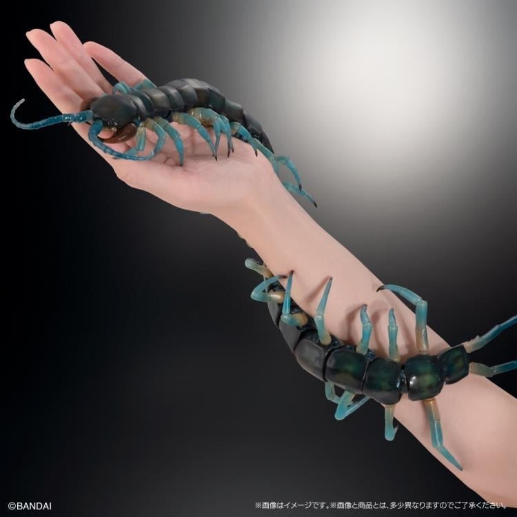 The Diversity of Life on Earth Ultimate Ryujin Giant Centipede image 7
