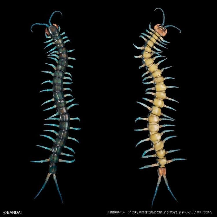 The Diversity of Life on Earth Ultimate Ryujin Giant Centipede image 8