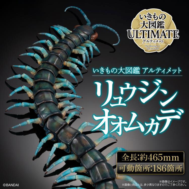 The Diversity of Life on Earth Ultimate Ryujin Giant Centipede image 9