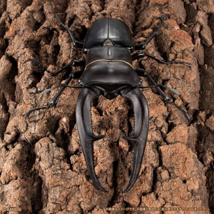 The Diversity of Life on Earth Premium Hexarthrius Mandibularis (Black) image 3