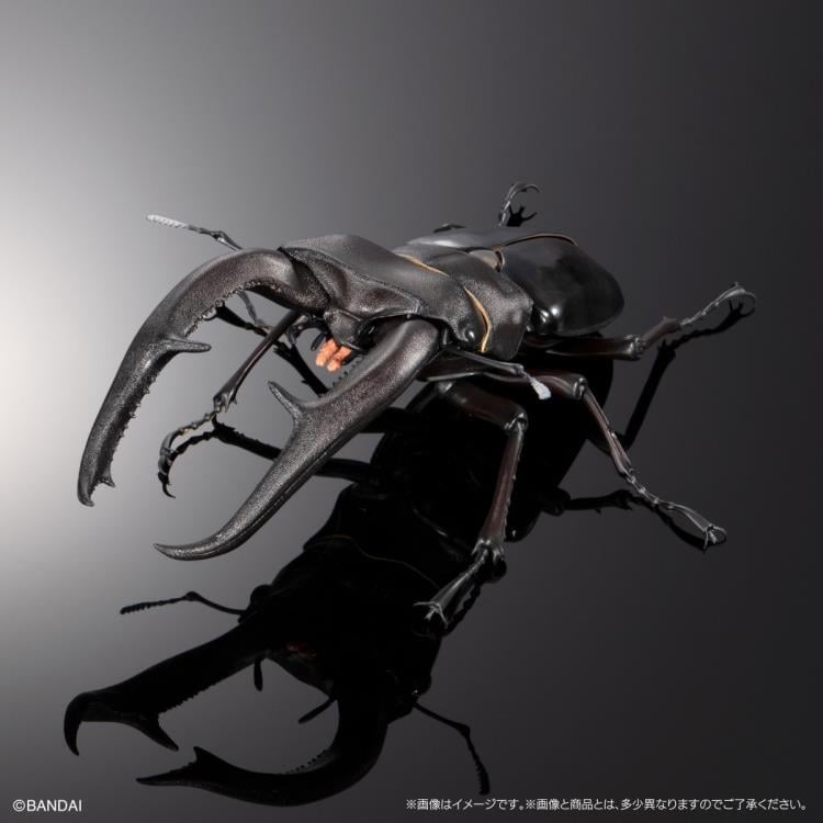 The Diversity of Life on Earth Premium Hexarthrius Mandibularis (Black) image 4
