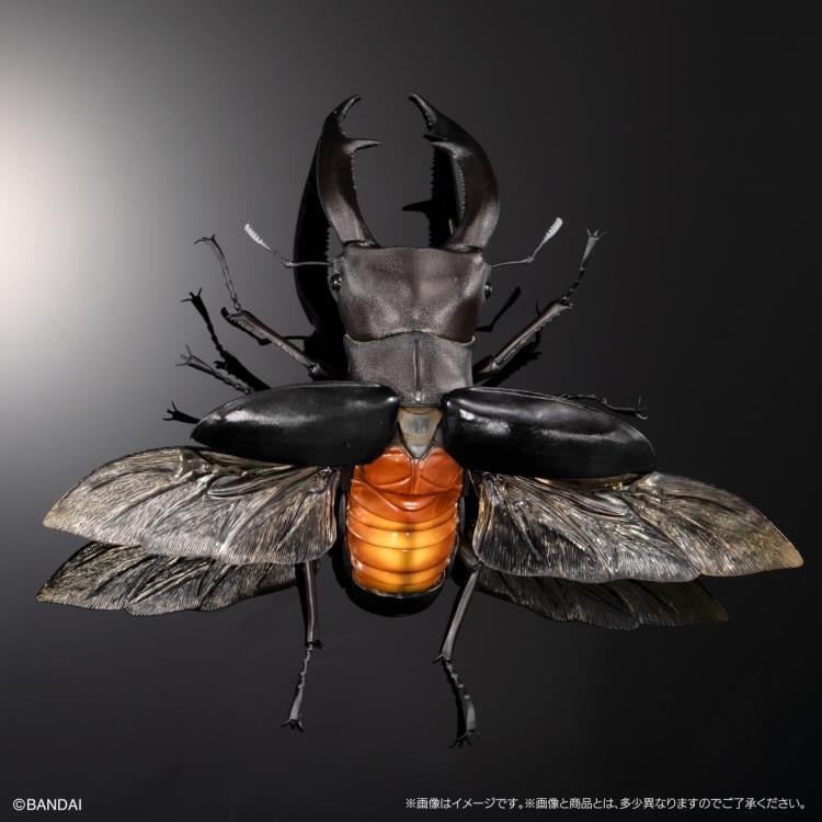 The Diversity of Life on Earth Premium Hexarthrius Mandibularis (Black) image 5