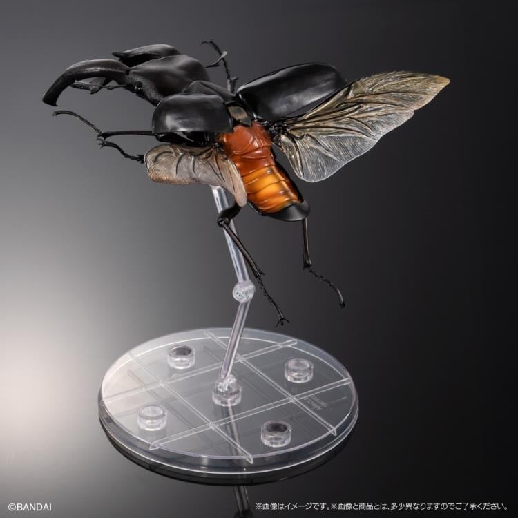 The Diversity of Life on Earth Premium Hexarthrius Mandibularis (Black) image 7