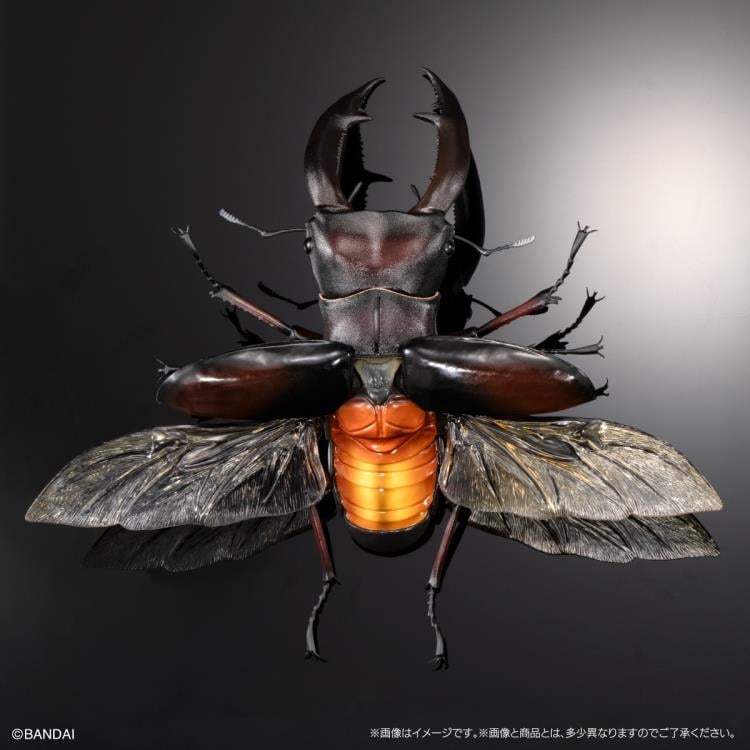 The Diversity of Life on Earth Premium Hexarthrius Mandibularis (Red) image 5