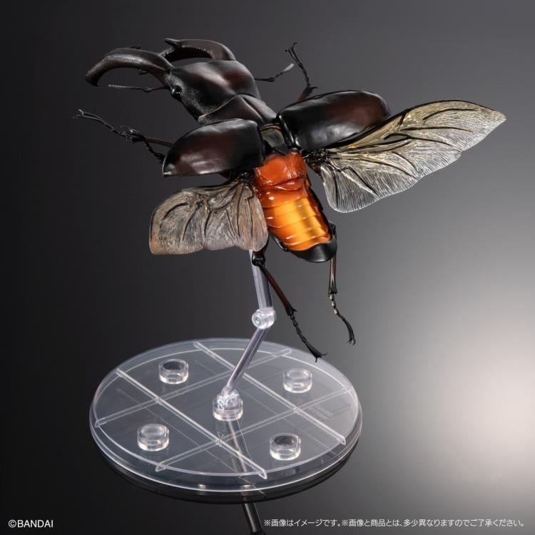 The Diversity of Life on Earth Premium Hexarthrius Mandibularis (Red) image 7