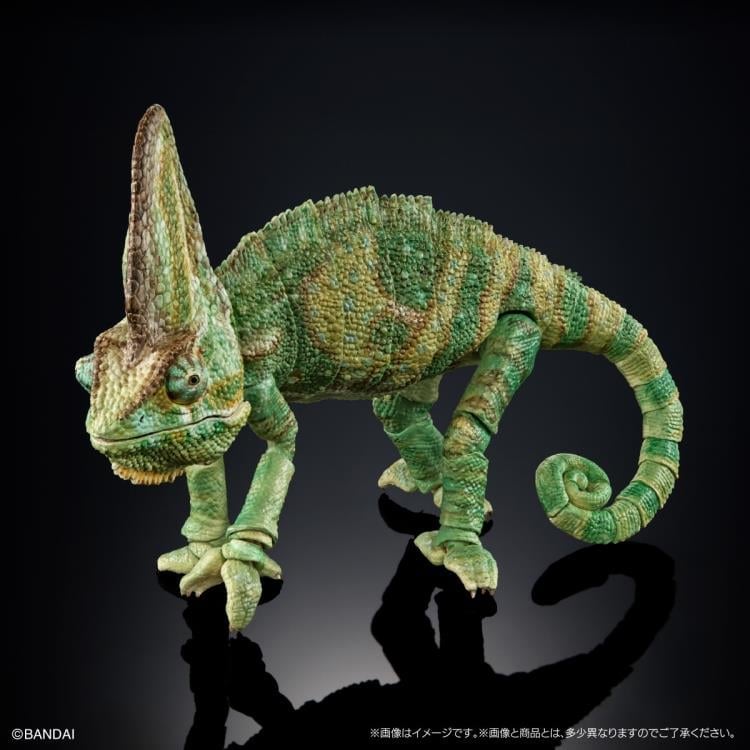 The Diversity of Life on Earth Premium Veiled Chameleon image 3