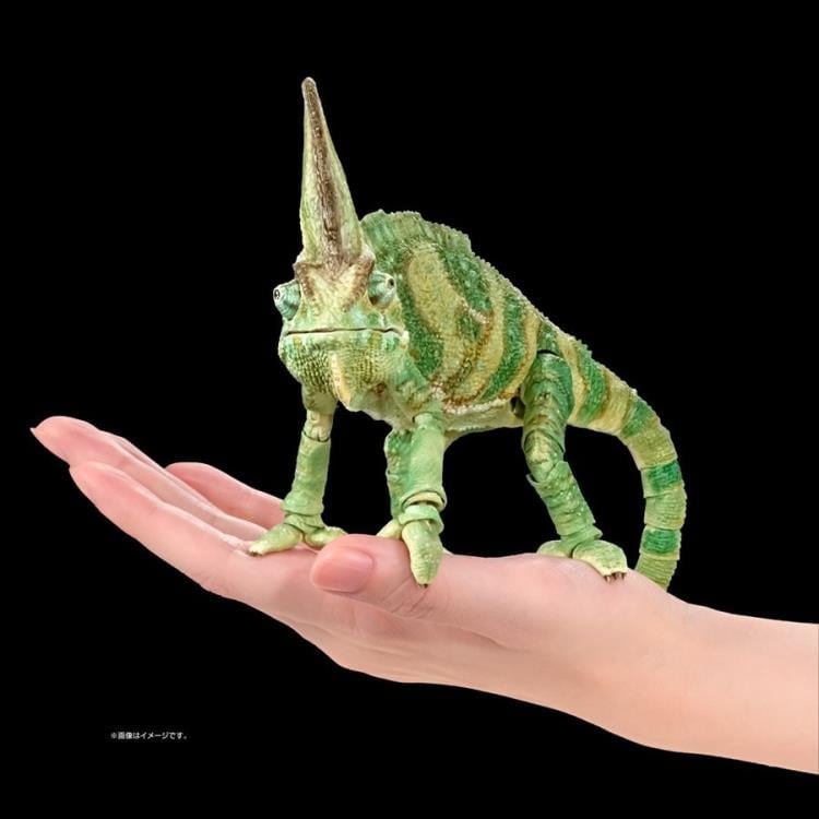 The Diversity of Life on Earth Premium Veiled Chameleon image 6