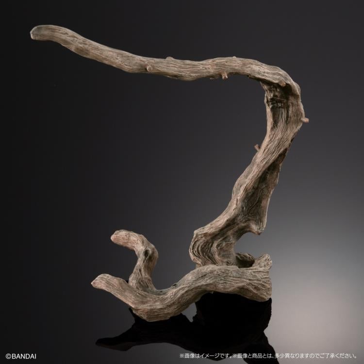 The Diversity of Life on Earth Premium Veiled Chameleon image 9
