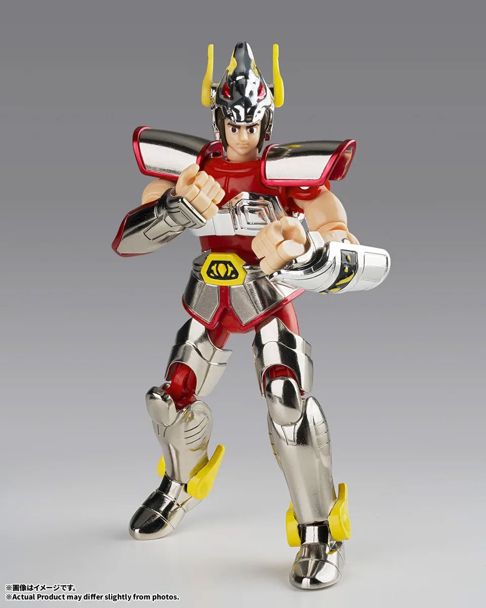 Saint Seiya Saint Cloth Series Pegasus Cloth (First Bronze Cloth -Cloth Box Limited Edition-) image 4