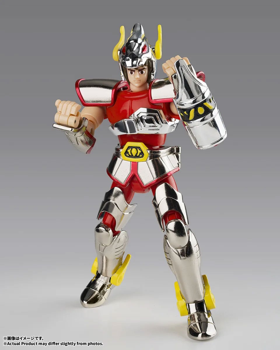 Saint Seiya Saint Cloth Series Pegasus Cloth (First Bronze Cloth -Cloth Box Limited Edition-) image 5