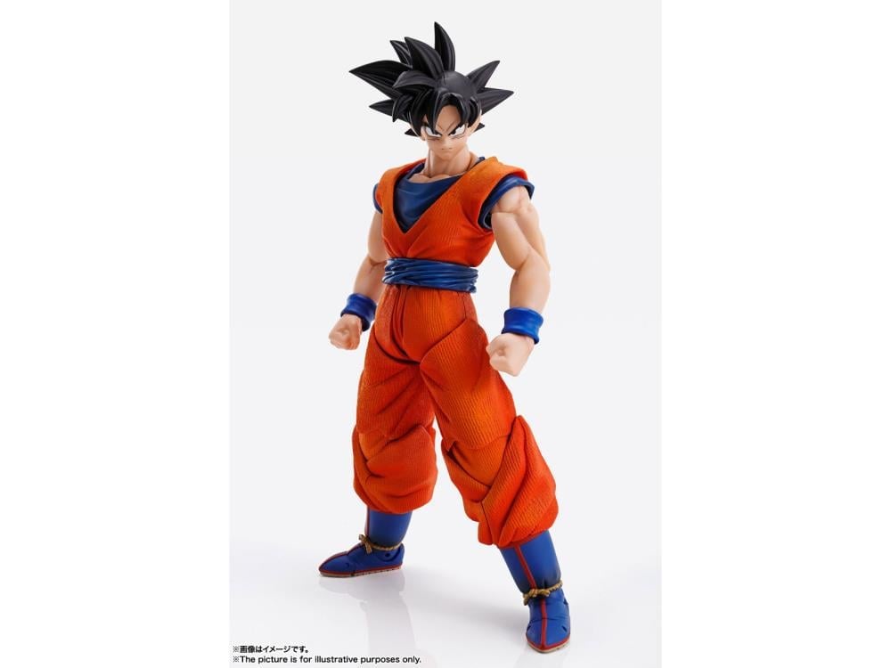 Dragon Ball Z Imagination Works Goku image 3