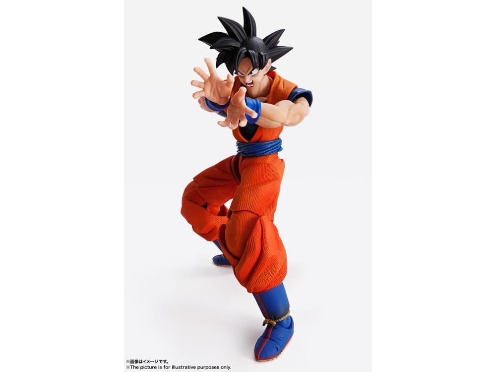 Dragon Ball Z Imagination Works Goku image 4