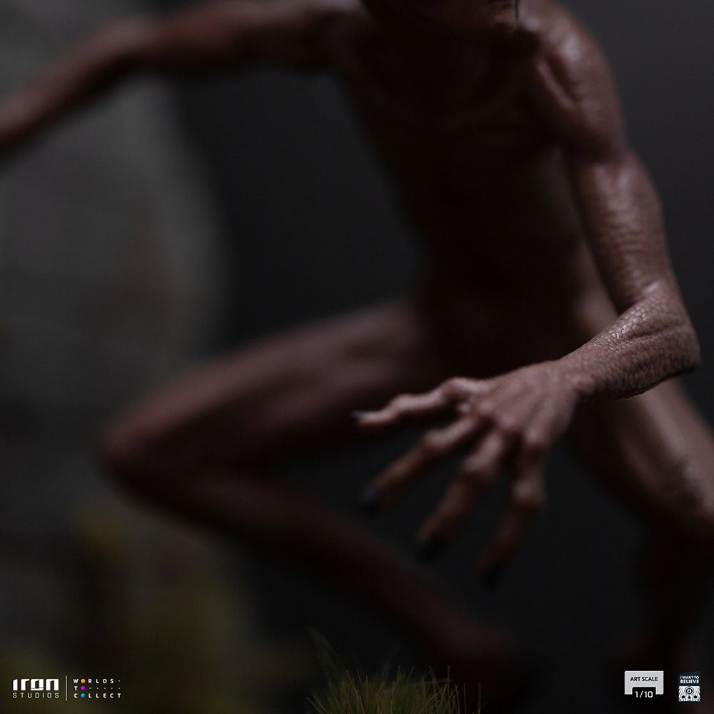 ET Varginha - I Want to Believe image 10