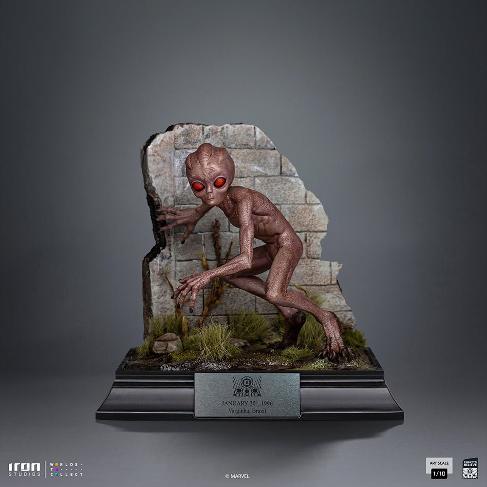 ET Varginha - I Want to Believe image 3