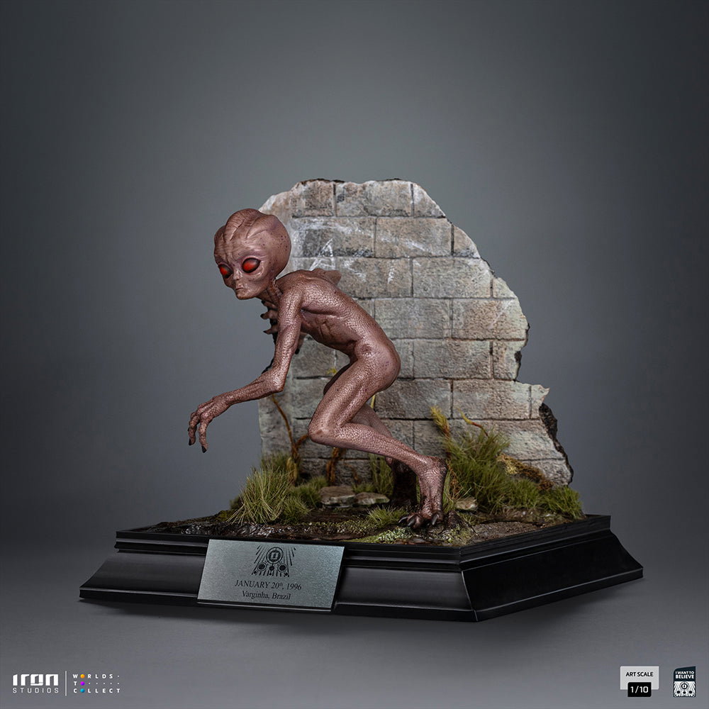ET Varginha - I Want to Believe image 4