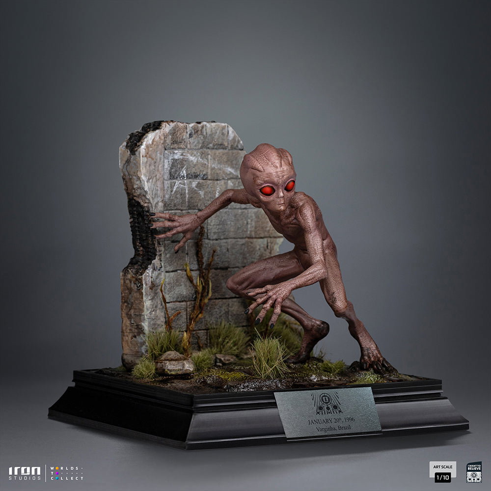 ET Varginha - I Want to Believe image 5