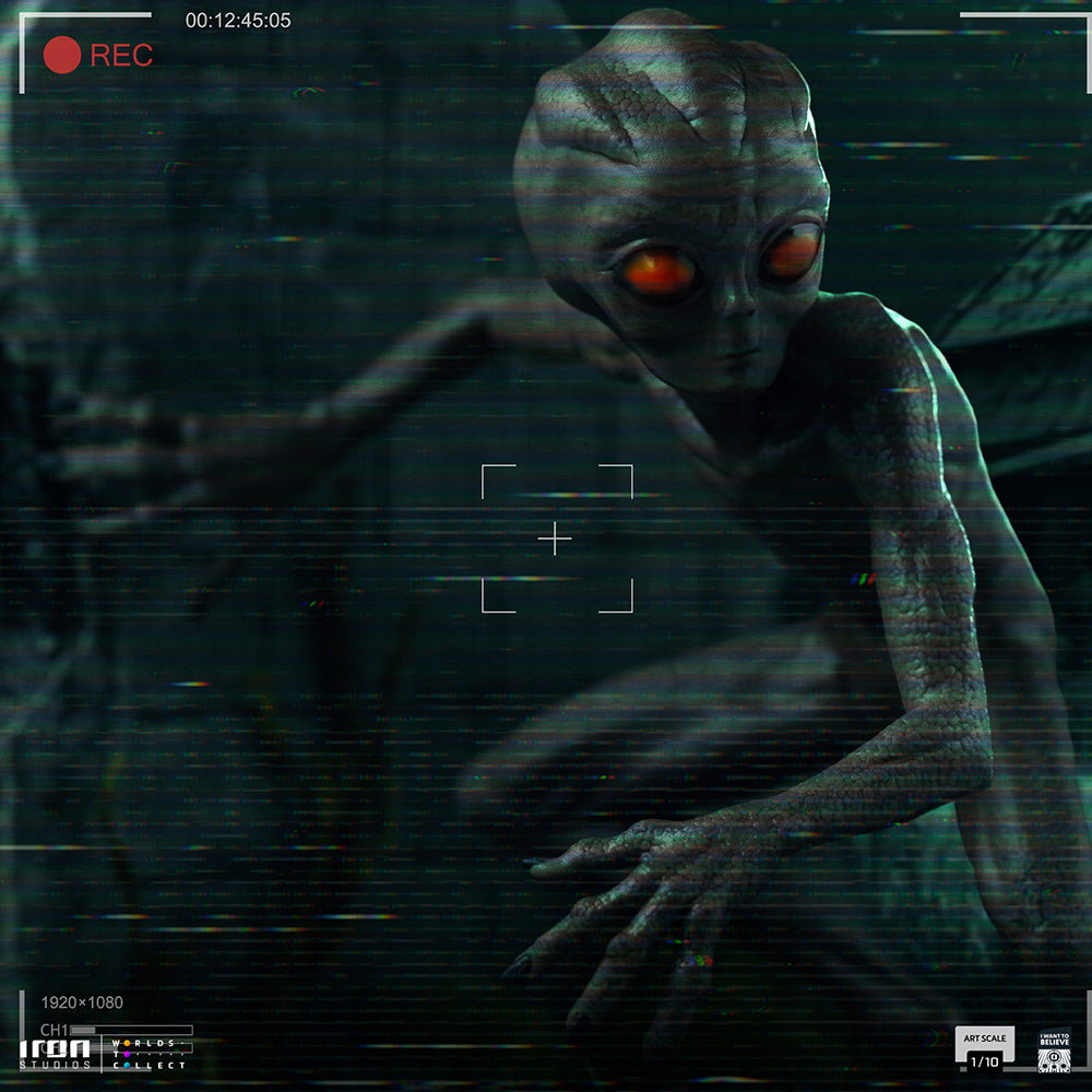 ET Varginha - I Want to Believe image 7
