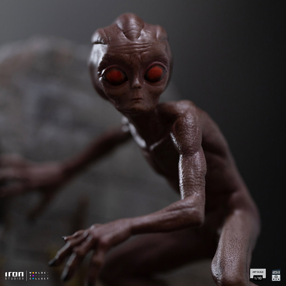 ET Varginha - I Want to Believe image 8