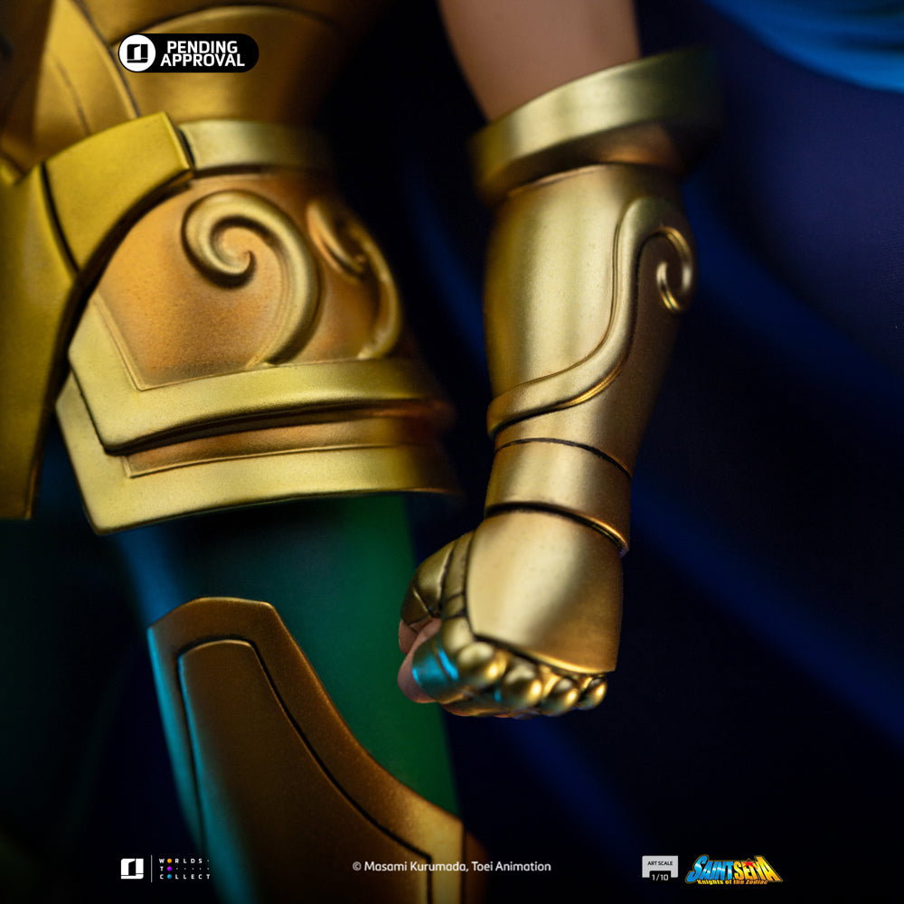 Aquarius Camus - Saint Seiya image 7