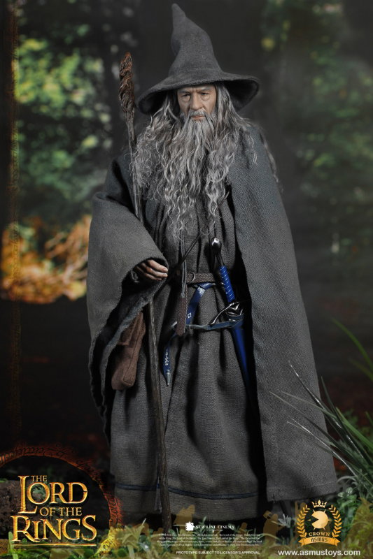 The Lord Of The Rings - Gandalf The Grey image 2